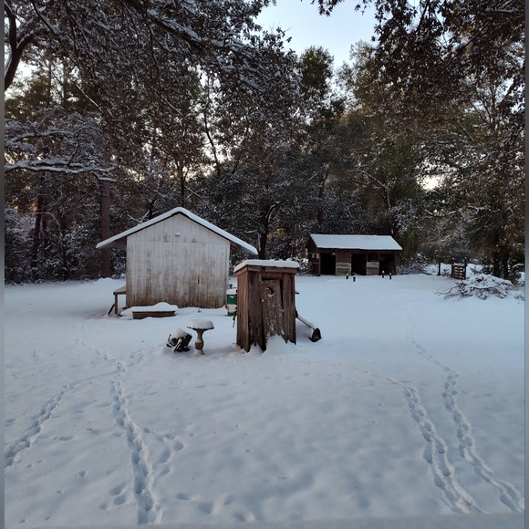 Meet your Posher, Lisa - Picture 7 of 10